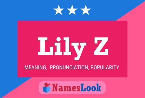 ملصق اسم Lily Z