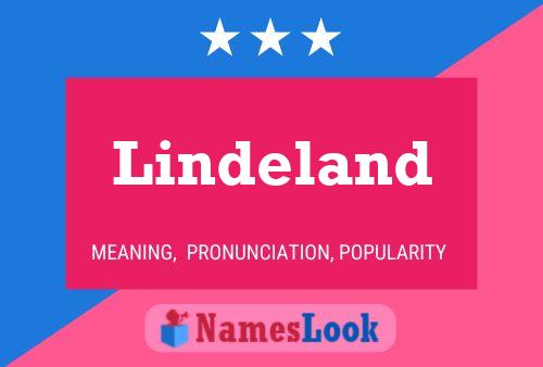 ملصق اسم Lindeland