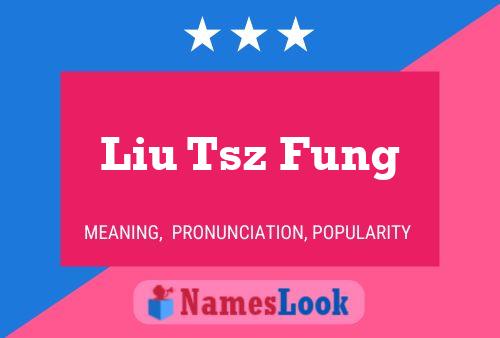 ملصق اسم Liu Tsz Fung