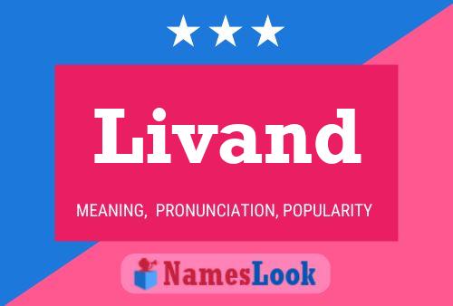 ملصق اسم Livand