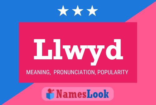 ملصق اسم Llwyd