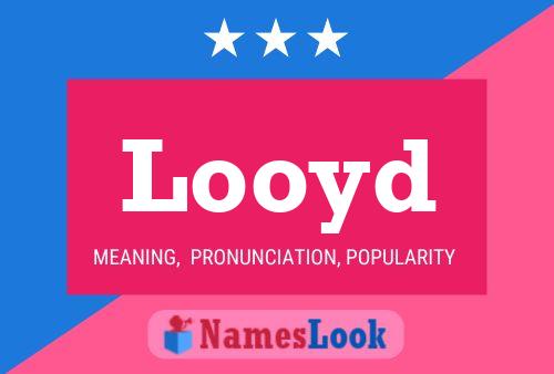 ملصق اسم Looyd