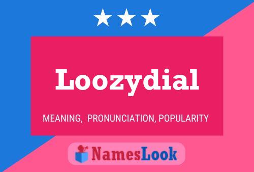 ملصق اسم Loozydial