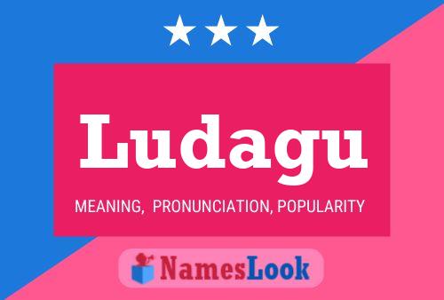 ملصق اسم Ludagu