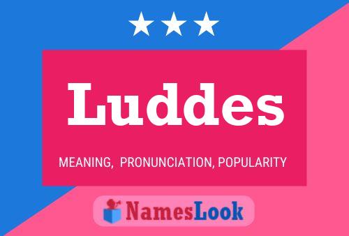 ملصق اسم Luddes