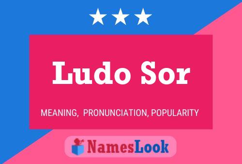 ملصق اسم Ludo Sor