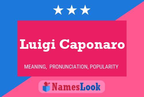 ملصق اسم Luigi Caponaro