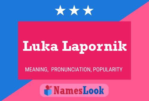 ملصق اسم Luka Lapornik