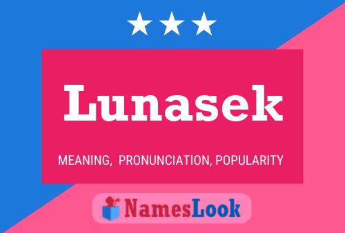 ملصق اسم Lunasek