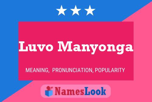 ملصق اسم Luvo Manyonga