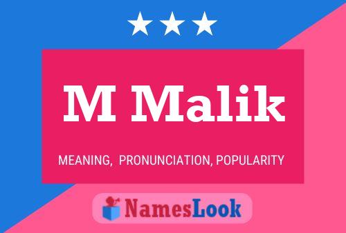 ملصق اسم M Malik