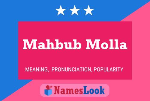 ملصق اسم Mahbub Molla