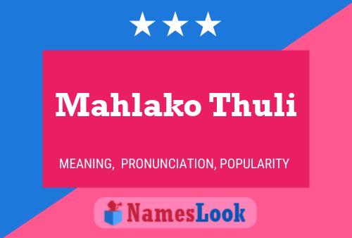 ملصق اسم Mahlako Thuli