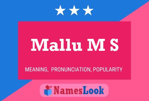 ملصق اسم Mallu M S