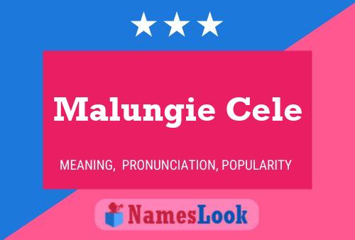 ملصق اسم Malungie Cele