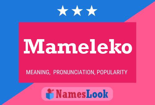 ملصق اسم Mameleko