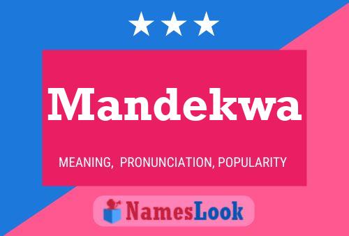 ملصق اسم Mandekwa