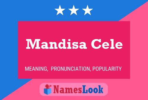 ملصق اسم Mandisa Cele