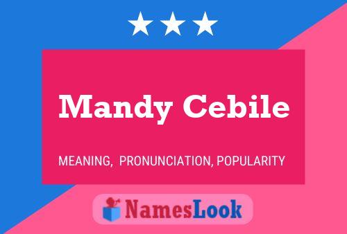 ملصق اسم Mandy Cebile