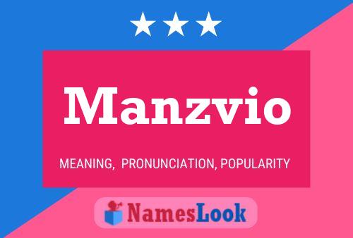 ملصق اسم Manzvio