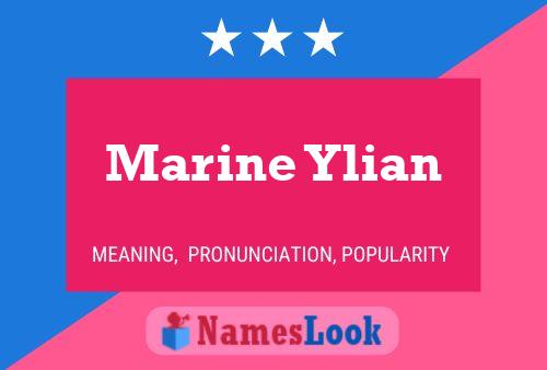 ملصق اسم Marine Ylian