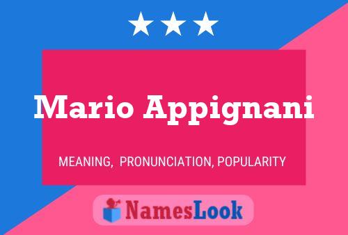 ملصق اسم Mario Appignani