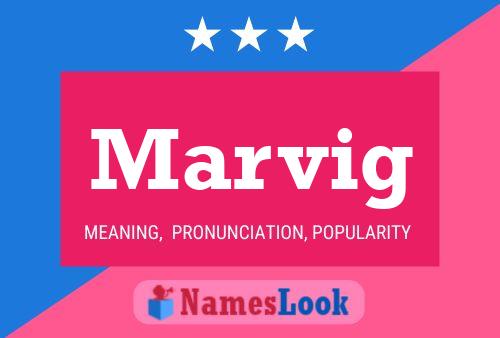 ملصق اسم Marvig