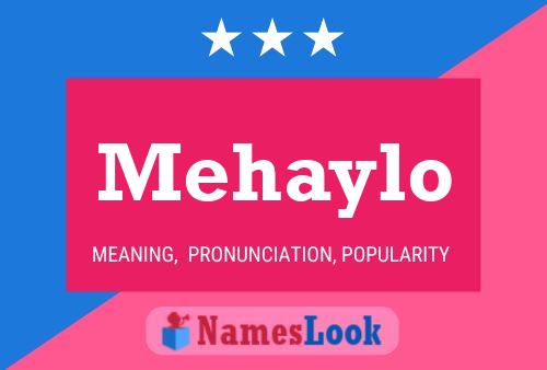 ملصق اسم Mehaylo