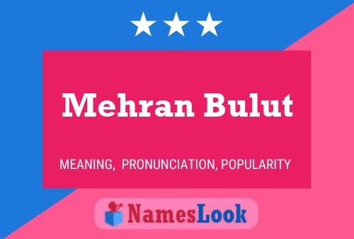 ملصق اسم Mehran Bulut