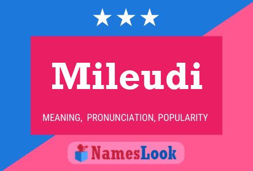 ملصق اسم Mileudi