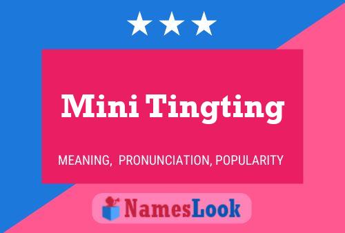 ملصق اسم Mini Tingting