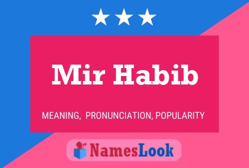 ملصق اسم Mir Habib