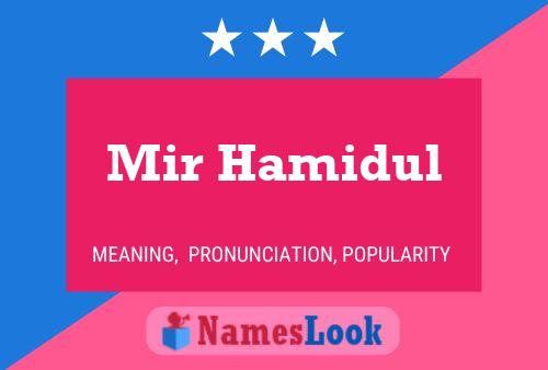 ملصق اسم Mir Hamidul