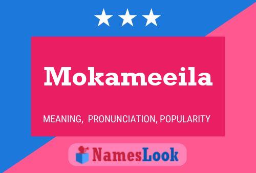 ملصق اسم Mokameeila