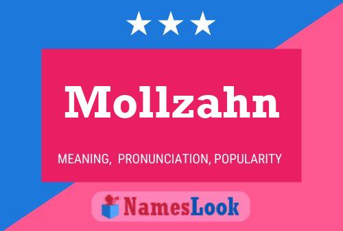 ملصق اسم Mollzahn