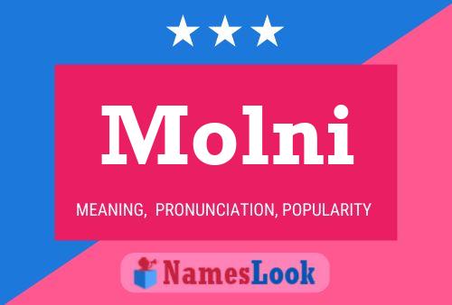 ملصق اسم Molni