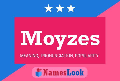 ملصق اسم Moyzes