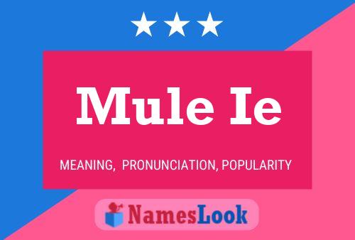 ملصق اسم Mule Ie