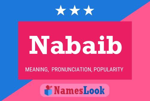 ملصق اسم Nabaib