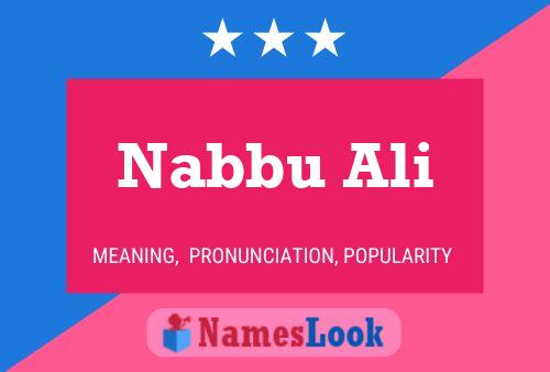 ملصق اسم Nabbu Ali