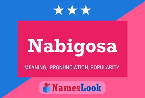 ملصق اسم Nabigosa