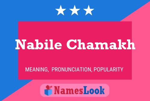 ملصق اسم Nabile Chamakh