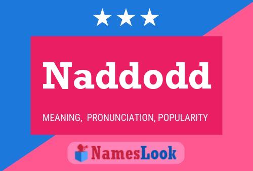 ملصق اسم Naddodd