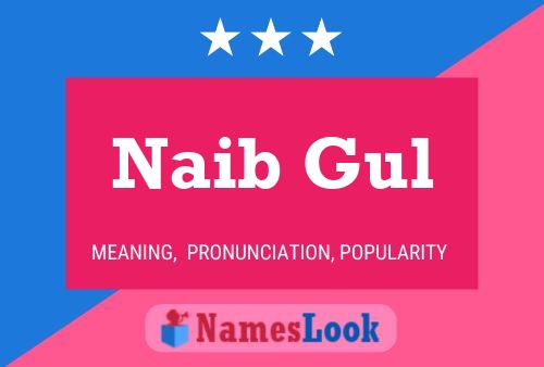 ملصق اسم Naib Gul