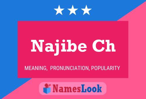 ملصق اسم Najibe Ch