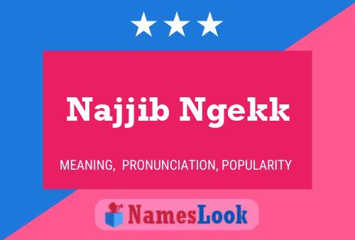 ملصق اسم Najjib Ngekk