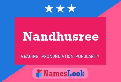 ملصق اسم Nandhusree