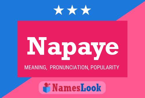 ملصق اسم Napaye