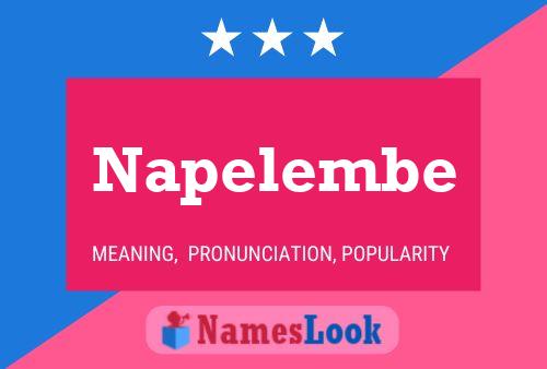 ملصق اسم Napelembe