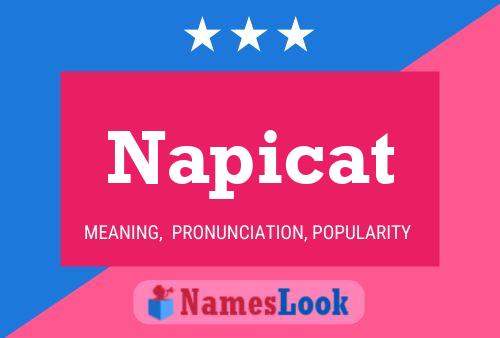 ملصق اسم Napicat